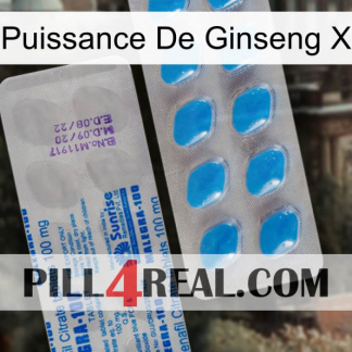Ginseng Power X new15